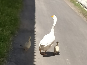 Similar image 22536059