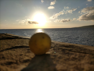 Similar image 22536072