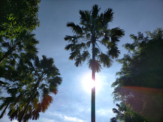 Similar image 22536091