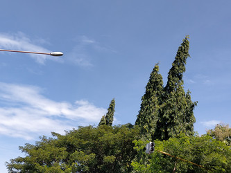 Similar image 22536102