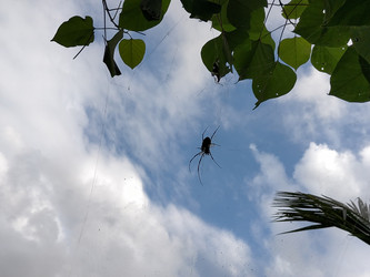 Similar image 22536103