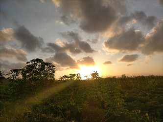 Similar image 22536120