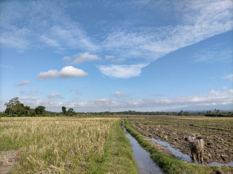 Similar image 22536134