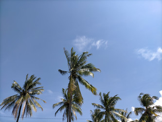 Similar image 22536150