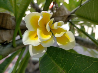 Similar image 22536210