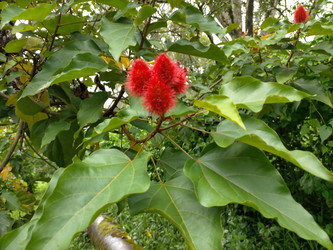 Similar image 22536225