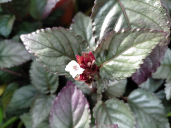 Similar image 22536296