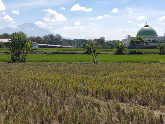 Similar image 22536312