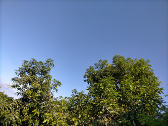 Similar image 22536313