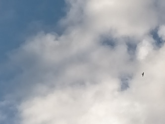 Similar image 22536373