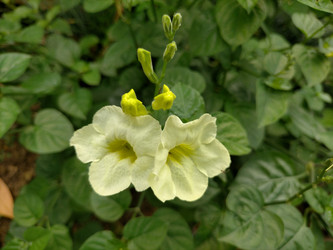 Similar image 22536389