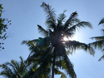 Similar image 22536404