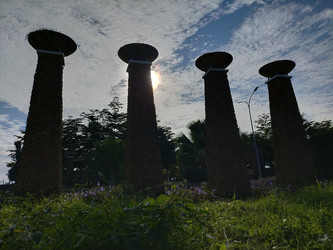 Similar image 22536479