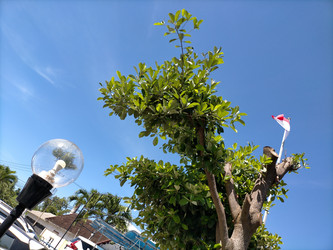 Similar image 22536507