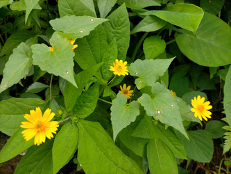 Similar image 22536538