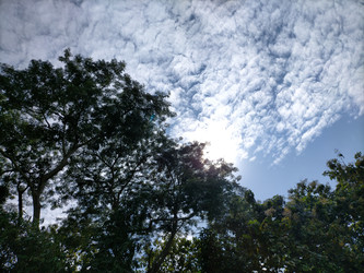 Similar image 22536539