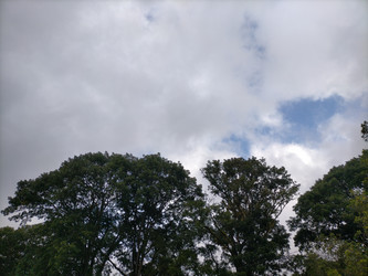 Similar image 22536554