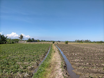 Similar image 22536599