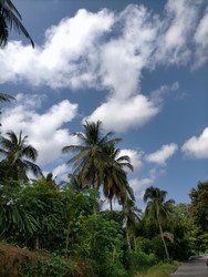 Similar image 22536614