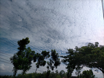 Similar image 22498627