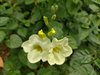 Similar image 22498628