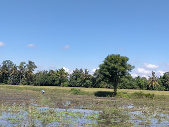 Similar image 22498642