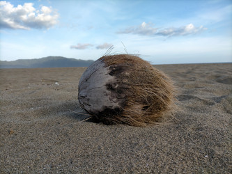 Similar image 22498656