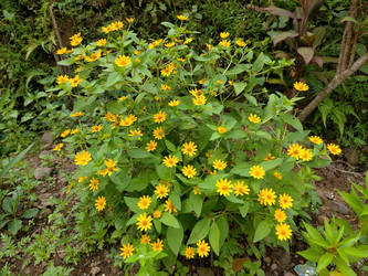 Similar image 22498657