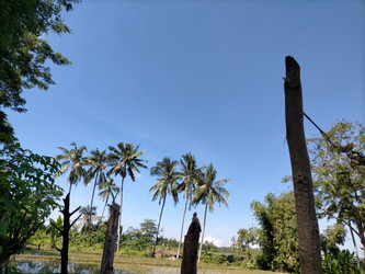 Similar image 22498687