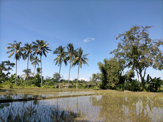 Similar image 22498702