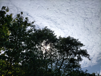 Similar image 22498732