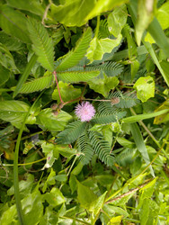 Similar image 22498747