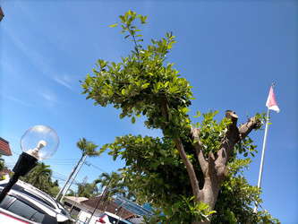 Similar image 22498762