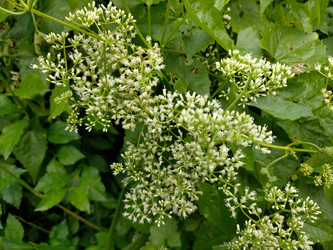 Similar image 22498777