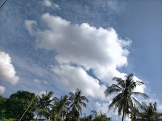 Similar image 22498792