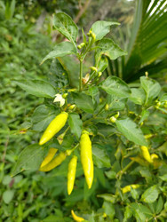 Similar image 22498807