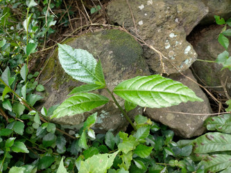 Similar image 22498822