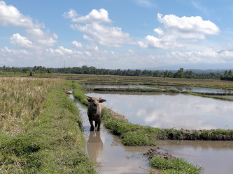 Similar image 22498823