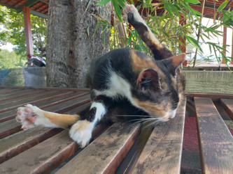 Similar image 22498852