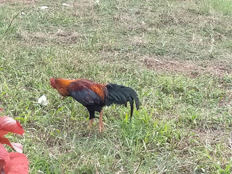 Similar image 22498869