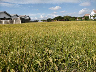 Similar image 22498943