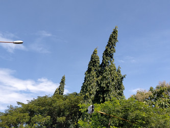 Similar image 22498958