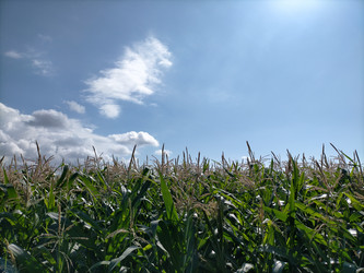 Similar image 22498959