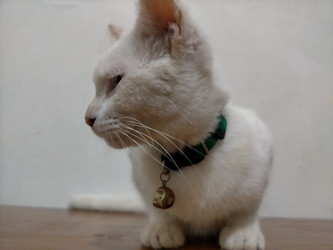 Similar image 22498973