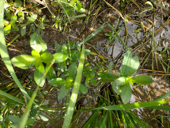 Similar image 22498974