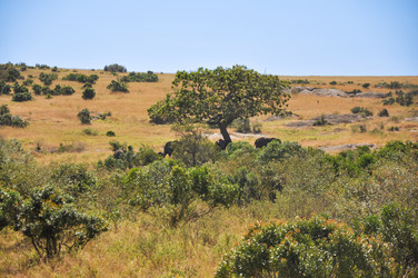 Similar image 22494322