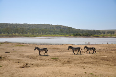 Similar image 22494324