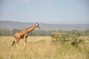 Similar image 22494337