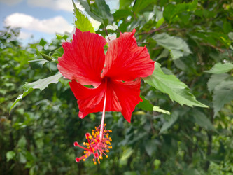 Similar image 22499077