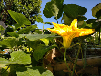 Similar image 22499090